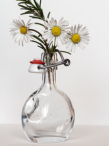 still life photography of white daisy flowers in clear glass vase thumbnail
