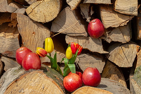 red apples on firewood thumbnail