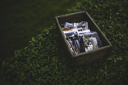 Photos in the wooden box thumbnail