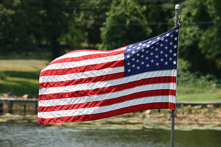 flag of America waving near water and trees thumbnail