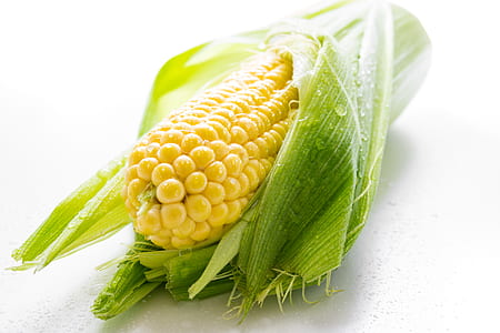 yellow, harvest, dew, corn thumbnail