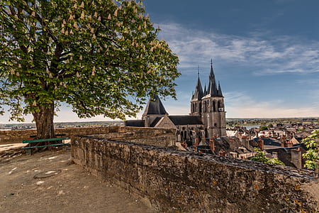 gray concrete castle beside green tree at daytime thumbnail