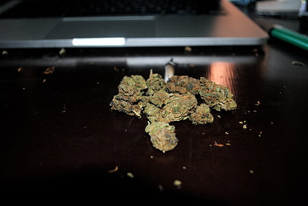 green kush near laptop computer thumbnail
