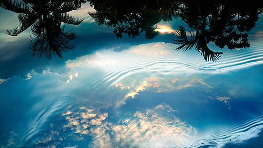 reflection of trees and cloudy sky on water thumbnail