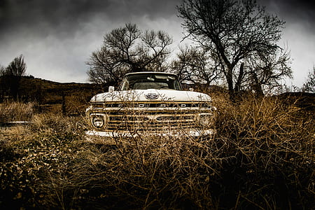 white Ford vehicle park near tree thumbnail