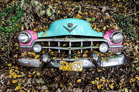Photo of Car Covered with Leaves thumbnail