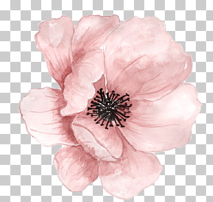 Flower Watercolor painting , Pink hand-painted flowers, pink flower PNG clipart