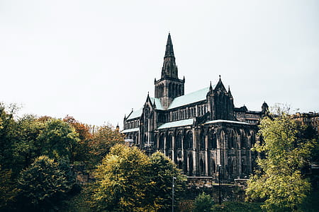 Glasgow cathedral surrounded by trees thumbnail