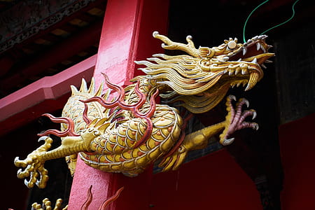dragon figurine on red surface thumbnail