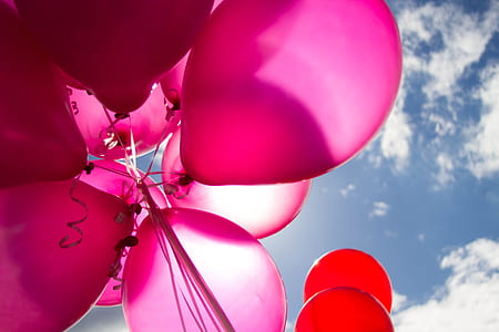 pink helium balloons at daytime thumbnail