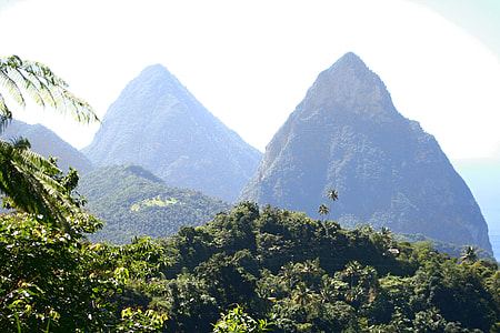 green mountains covered with green leafed trees thumbnail
