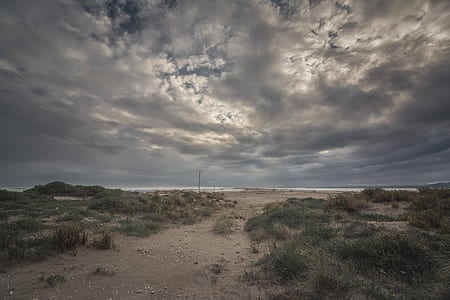 landscape photography of grass field with clouds thumbnail