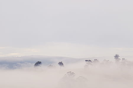 landscape, nature, clouds, cloudy thumbnail