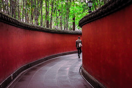 person walking at middle of red concrete wall walkway thumbnail