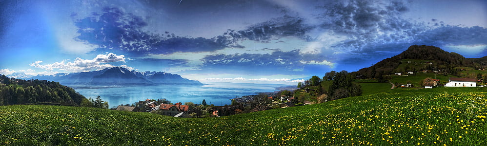 Green Grass With Mountain thumbnail