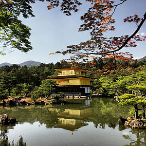 yellow and black building near body of water at daytime thumbnail