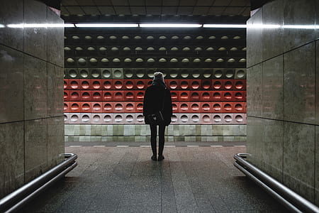 person standing between two pathways thumbnail