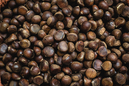 Chestnuts thumbnail