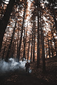 man standing under trees during daytime thumbnail