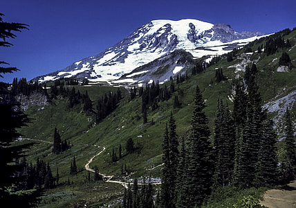 View of the peak at Mount Rainier National Park, Washington thumbnail