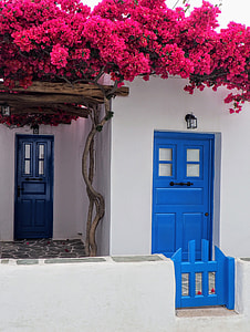 white concrete house with blue wooden doors and red flowers on top of it thumbnail