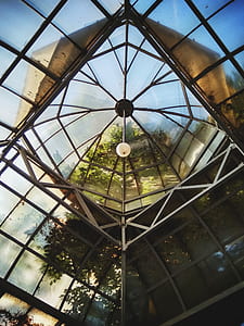 low angle photo of glass building thumbnail