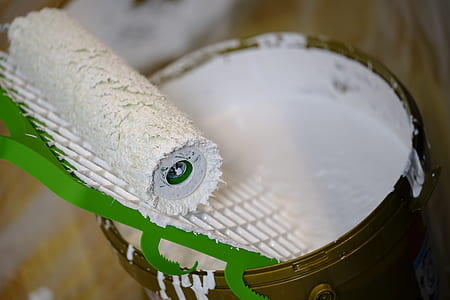 bucket of white paint with roller thumbnail