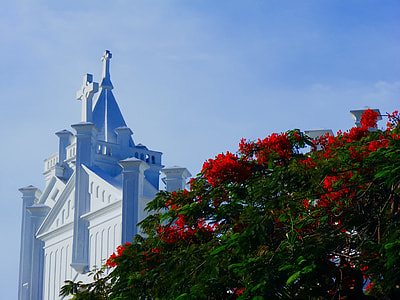 red petaled flowers overlooking white concrete cathedral roof under blue sky at daytime thumbnail