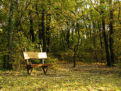 brown wooden bench during daytime thumbnail