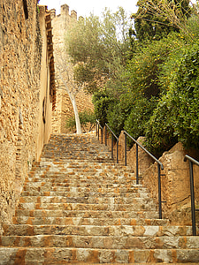 concrete stairs with trees on side and wall thumbnail