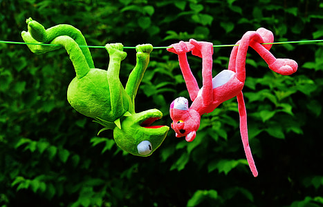 Kermit the Frog and Pink Panther hangup on green string thumbnail