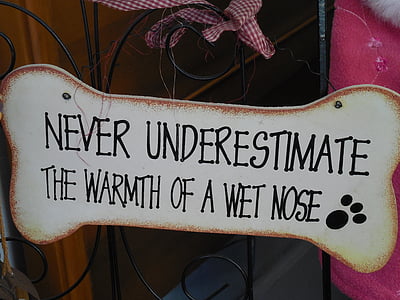 never underestimate signage thumbnail