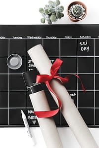 Photo of a Daily Schedule thumbnail