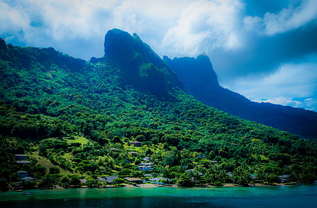 green leafed plants covered mountain thumbnail