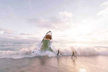 edited photo of great white shark on shore in front of two people running thumbnail