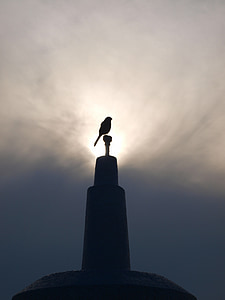 bird perched on finial thumbnail