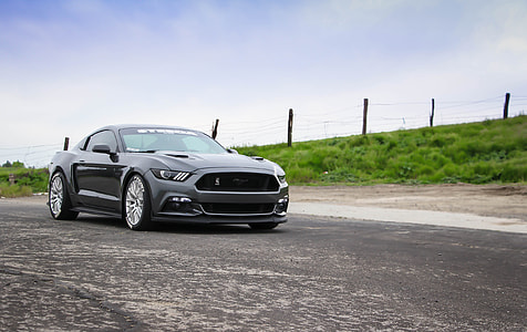 gray Shelby Mustang GT at road thumbnail