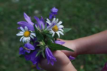 white and purple petaled flowers thumbnail
