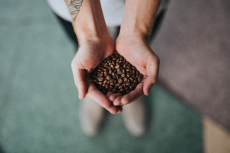 person holding coffeebeans thumbnail