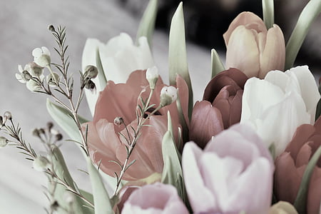 close photography of petaled flowers thumbnail