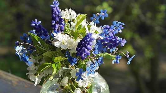 blue petaled flowers thumbnail