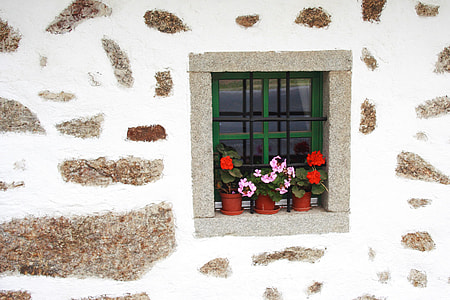 gray concrete window with red and pink flowersw thumbnail