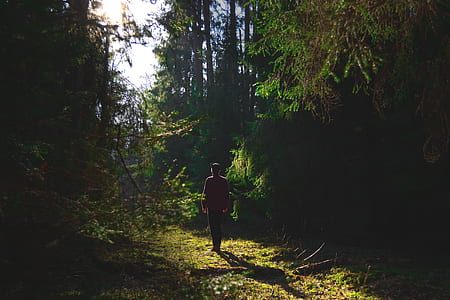 portrait photography of person thumbnail