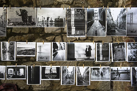 assorted gray scale photos thumbnail