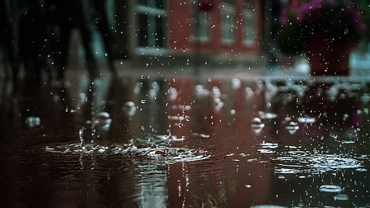 water, dark, blur, rain thumbnail