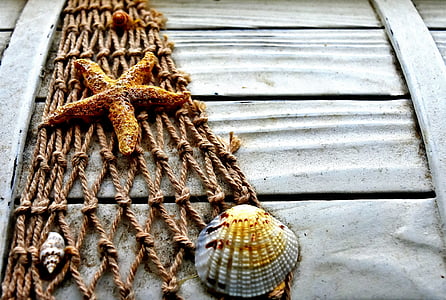 shell and starfish on brown net decor thumbnail