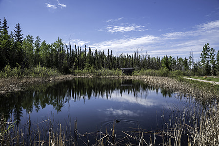 Pond Landscape at the Welcoming Center, Northwest Territories thumbnail
