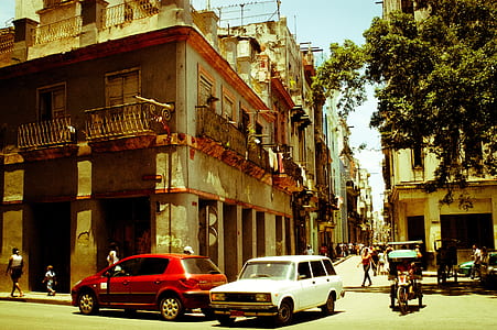 people walking near buildings at daytime thumbnail