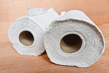 two rolled paper towels thumbnail