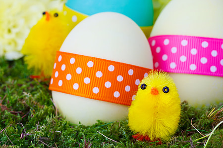 chick toy beside egg thumbnail